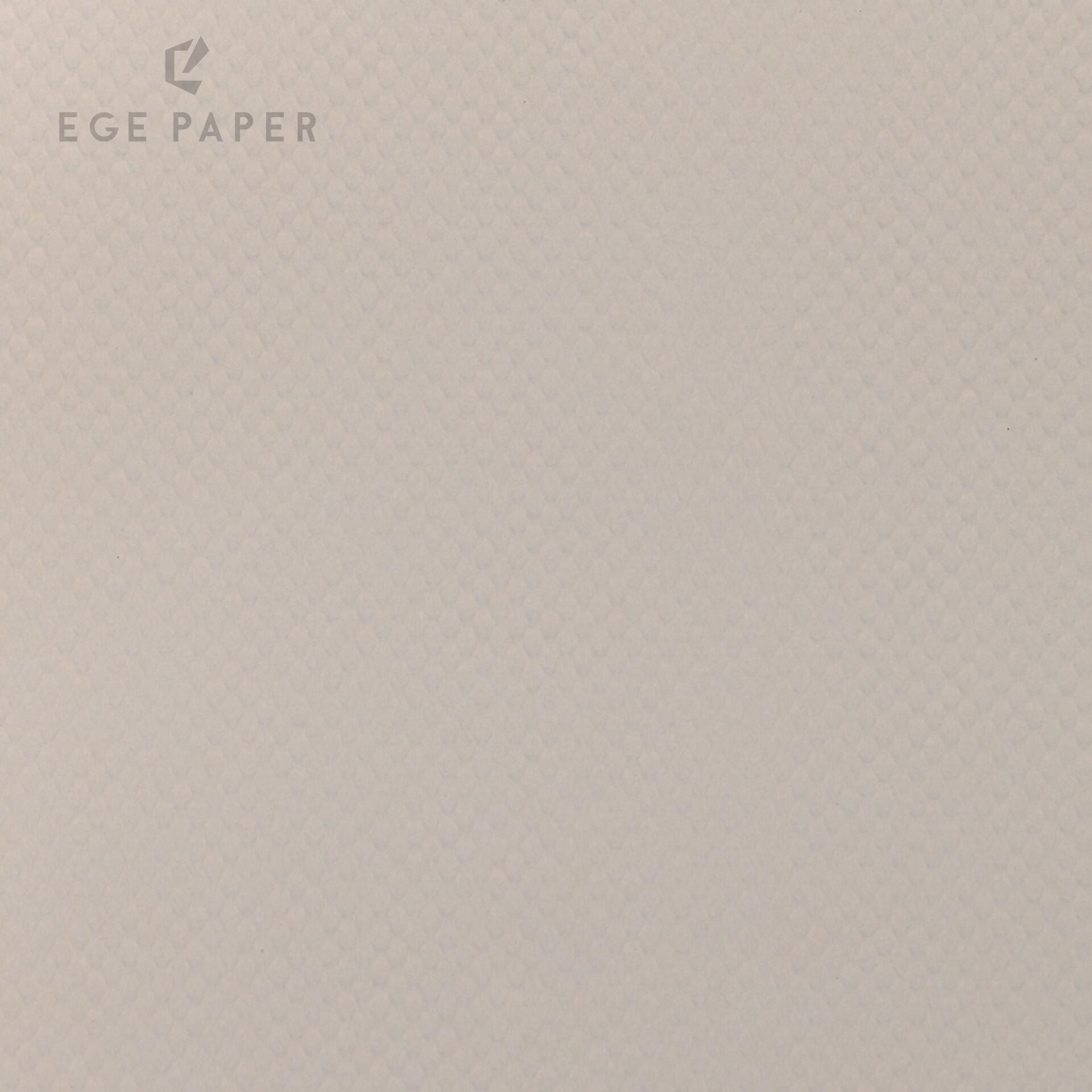 CHAIN - CREAM (NEO BRISTOL) - 400GR - 70X100CM