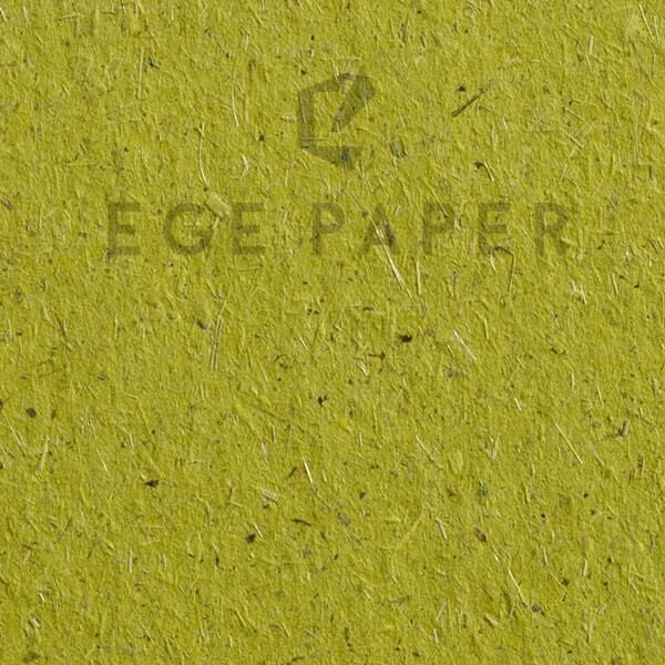 GMUND - BIO CYCLE/GRASS CHLOROPHYLL - 70X100CM - FSC MIX - 300GR