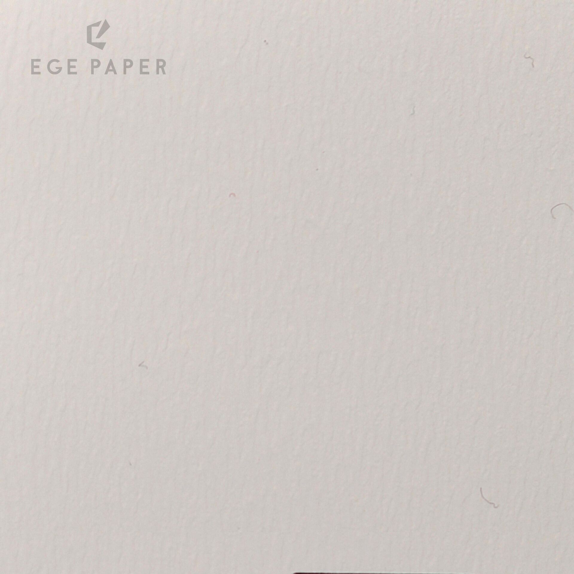 SHELL - CREAM (NEO BRISTOL) - 120GR - 70X100CM